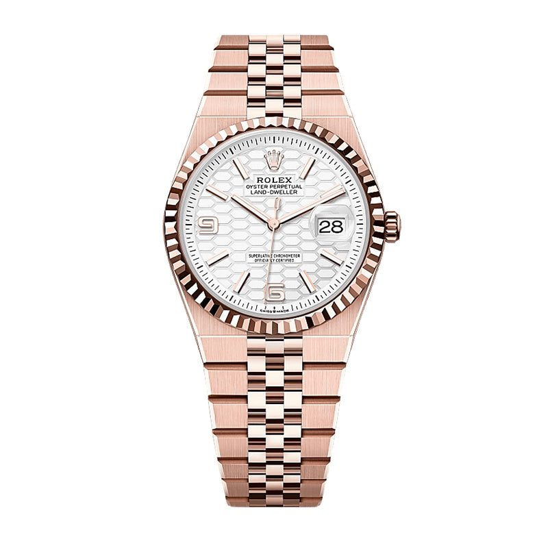 Land-Dweller 36 Oyster, 36 mm, Everose gold