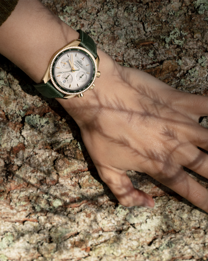 Speedmaster 38 38 mm, yellow gold on leather strap