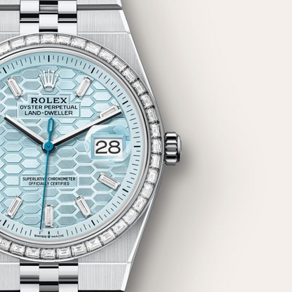 Rolex Land-Dweller 36 Oyster, 36 mm, platinum and diamonds