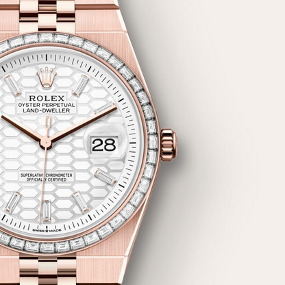 Rolex Land-Dweller 36 Oyster, 36 mm, Everose gold and diamonds