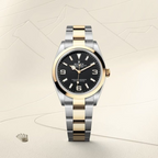 Explorer 36 Oyster, 36 mm, Oystersteel and yellow gold