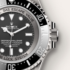 Deepsea Challenge Oyster, 50 mm, RLX titanium