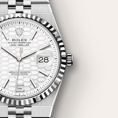 Land-Dweller 36 Oyster, 36 mm, Oystersteel and white gold