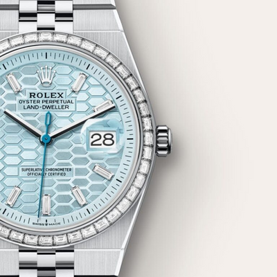Land-Dweller 36 Oyster, 36 mm, platinum and diamonds