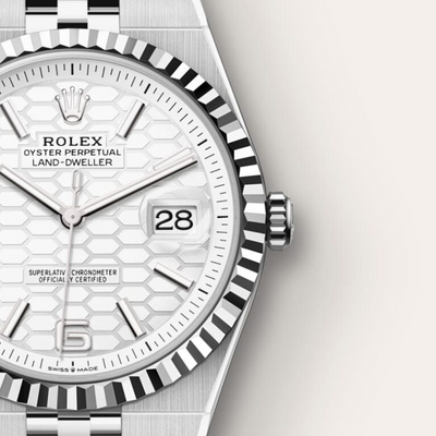 Land-Dweller 40 Oyster, 40 mm, Oystersteel and white gold