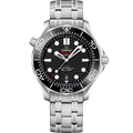 Diver 300M 42 mm, steel on steel