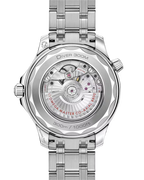 Diver 300M 42 mm, steel on steel