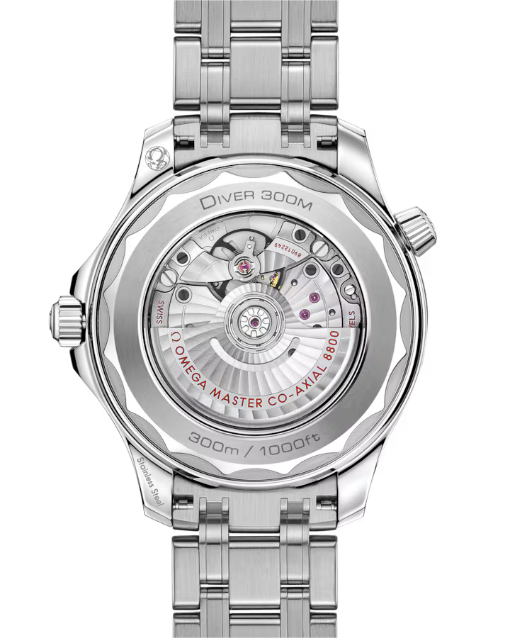 Diver 300M 42 mm, steel on steel