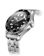 Diver 300M 42 mm, steel on steel