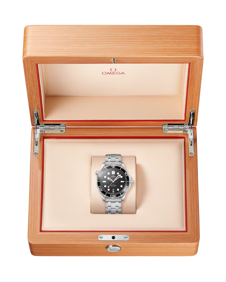 Diver 300M 42 mm, steel on steel