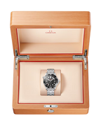 Diver 300M 42 mm, steel on steel